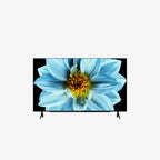 16809-01.webp