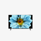 SHARP GOOGLE TV 50-INCH  (2T-C50EG1X     )