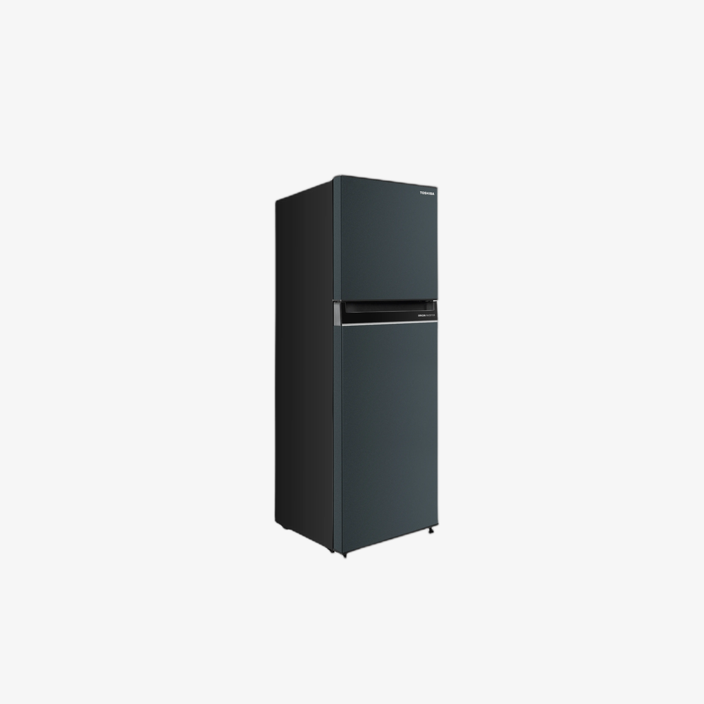 TOSHIBA REF NF 2D 8.2CFT INV BLACK (GR-RT303WEPMH52)