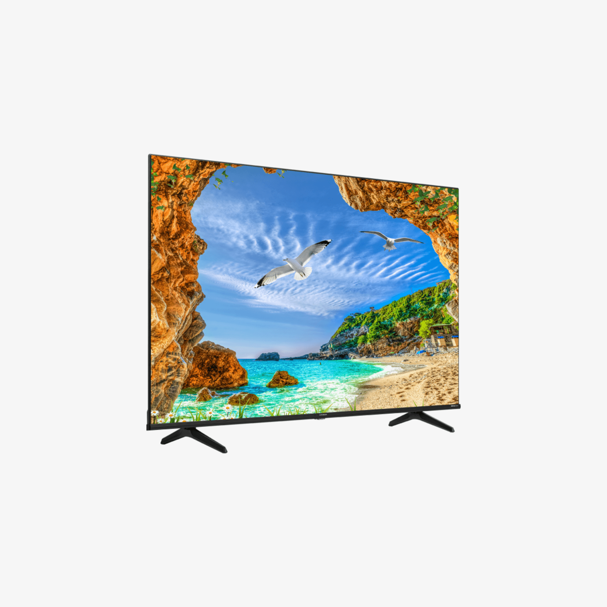 DEVANT TV UHD 65-INCH  (65UHD205       )