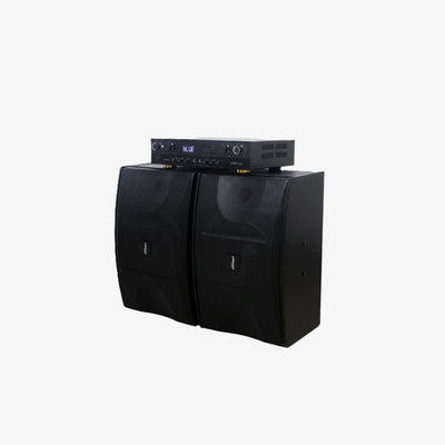 DB Audio Audio 12-Inch Speaker-Amplifier 900W (HOMEPRO SET-12)