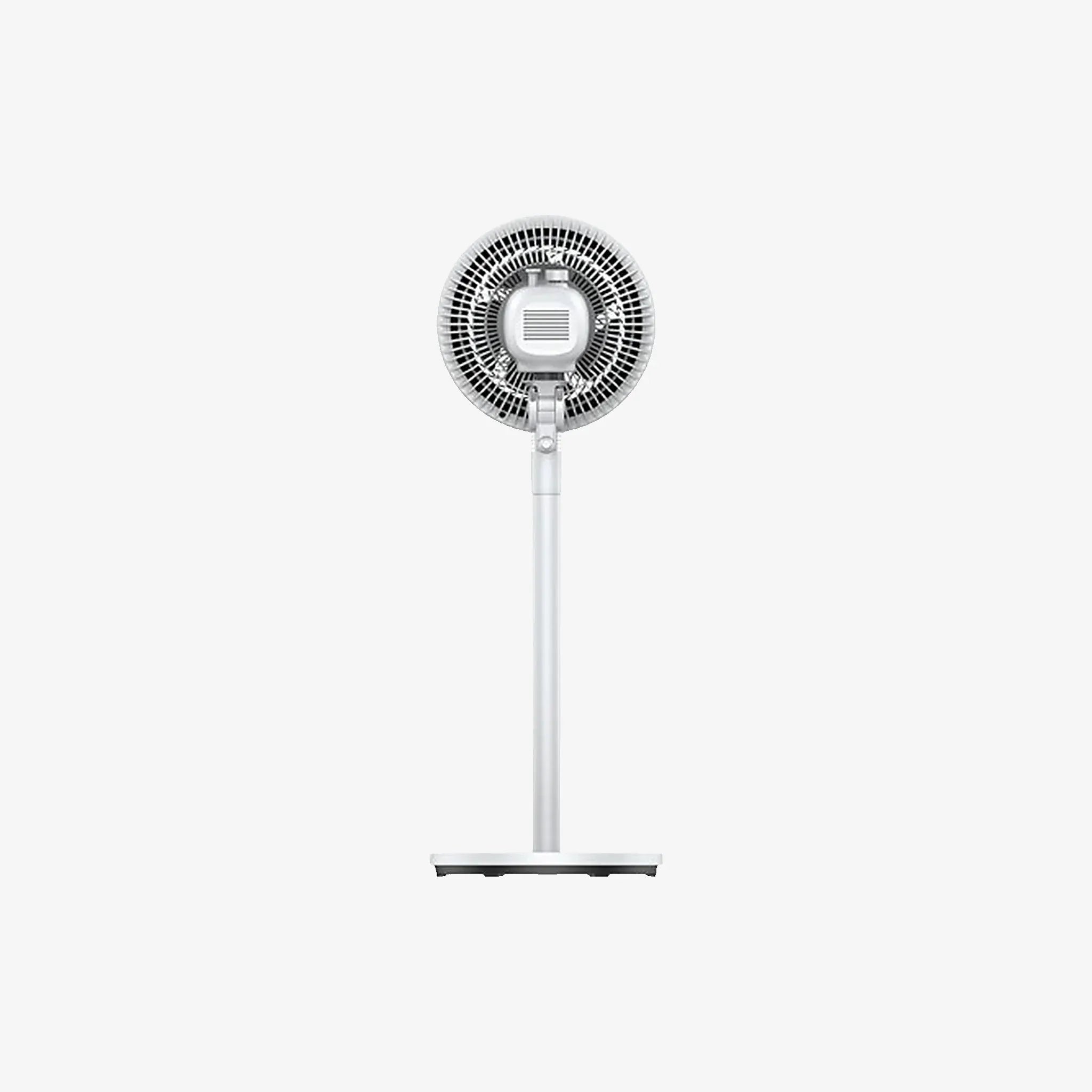 17196-04.webp