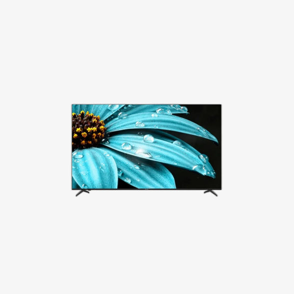 17212-01.webp