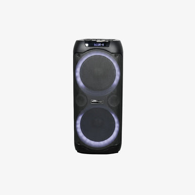 DB Audio 10-Inch x2 KTV Speaker with 2 Wireless Microphones