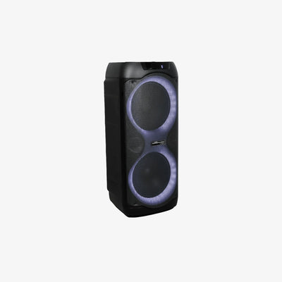 DB Audio Speaker 10-Inch x2 w/ 2 Wireless Mic (KTV-PBOX M210)