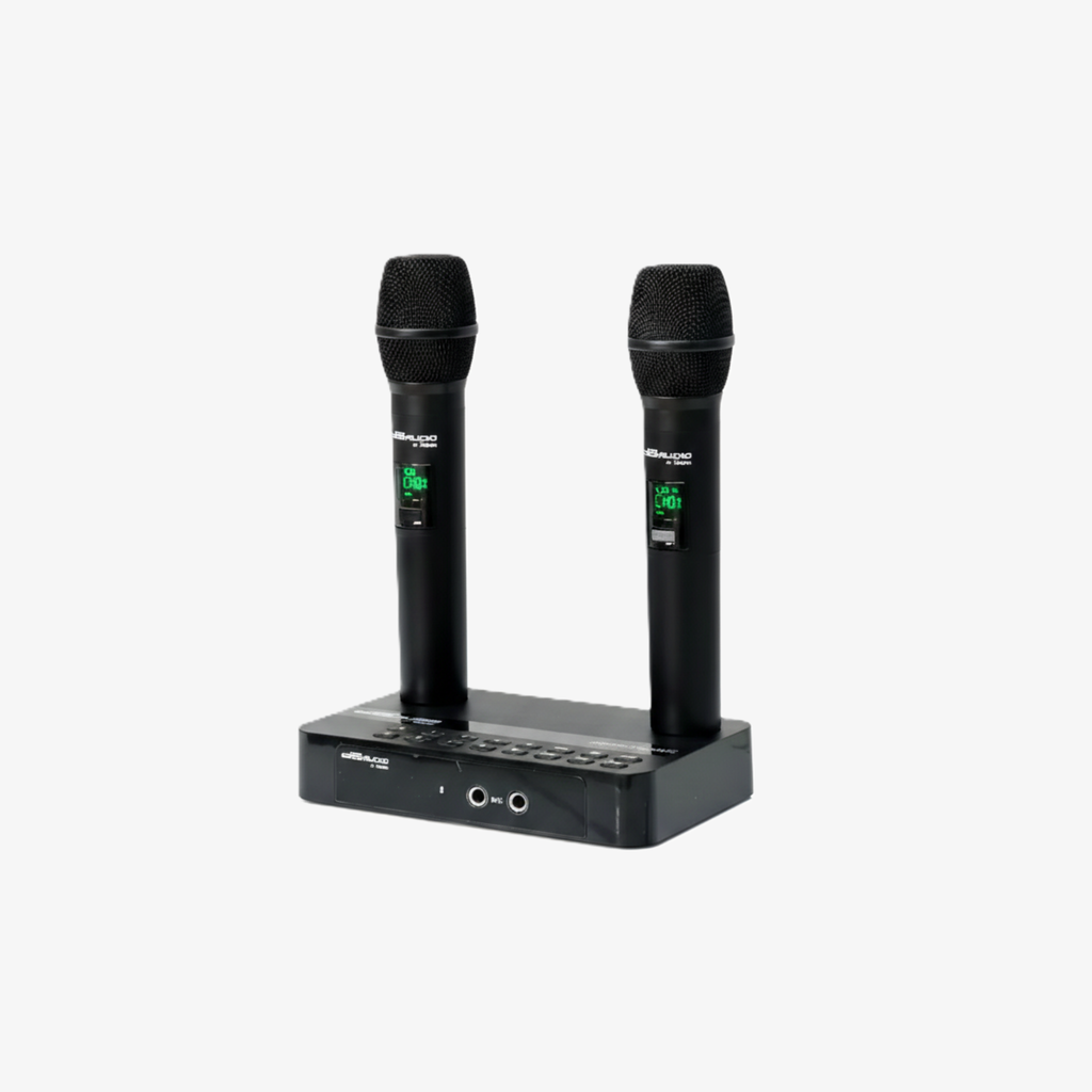 Promo: DB AUDIO VIDEO KARAOKE W/2 WIRELESS MIC