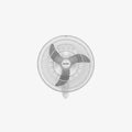 17451.webp