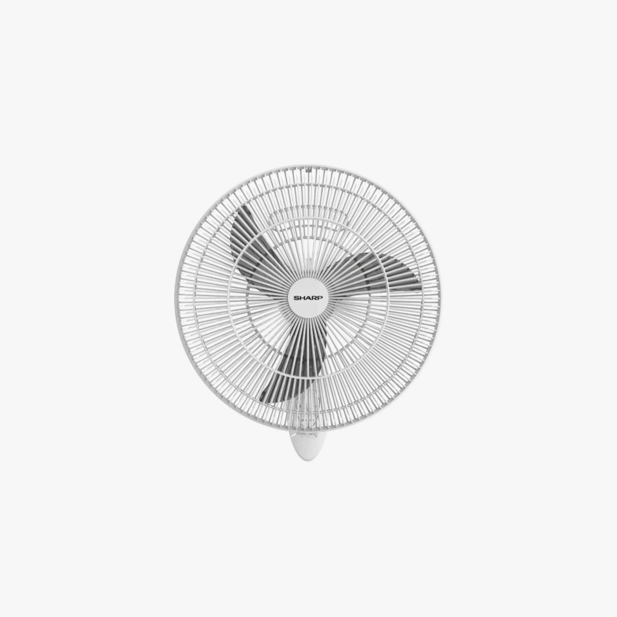 17451.webp