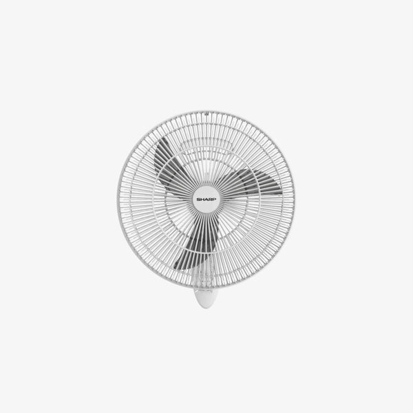 17451.webp
