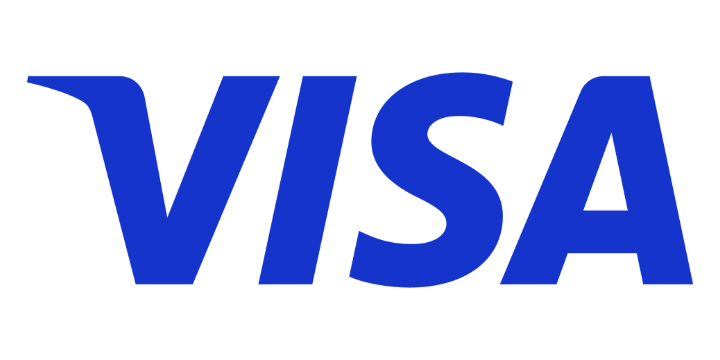 Visa payment method logo
